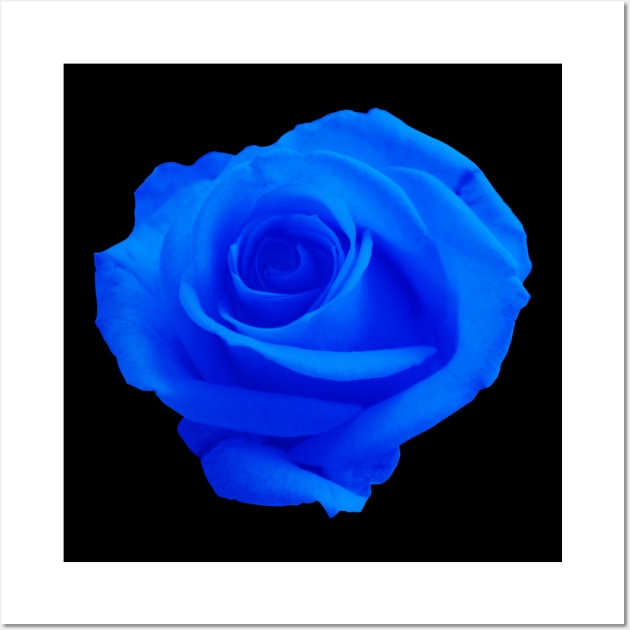 Blue Rose beautiful small design Wall Art by ClothedCircuit